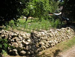 Einbau und Wartung einer Pflanzenkläranlage in Soltau